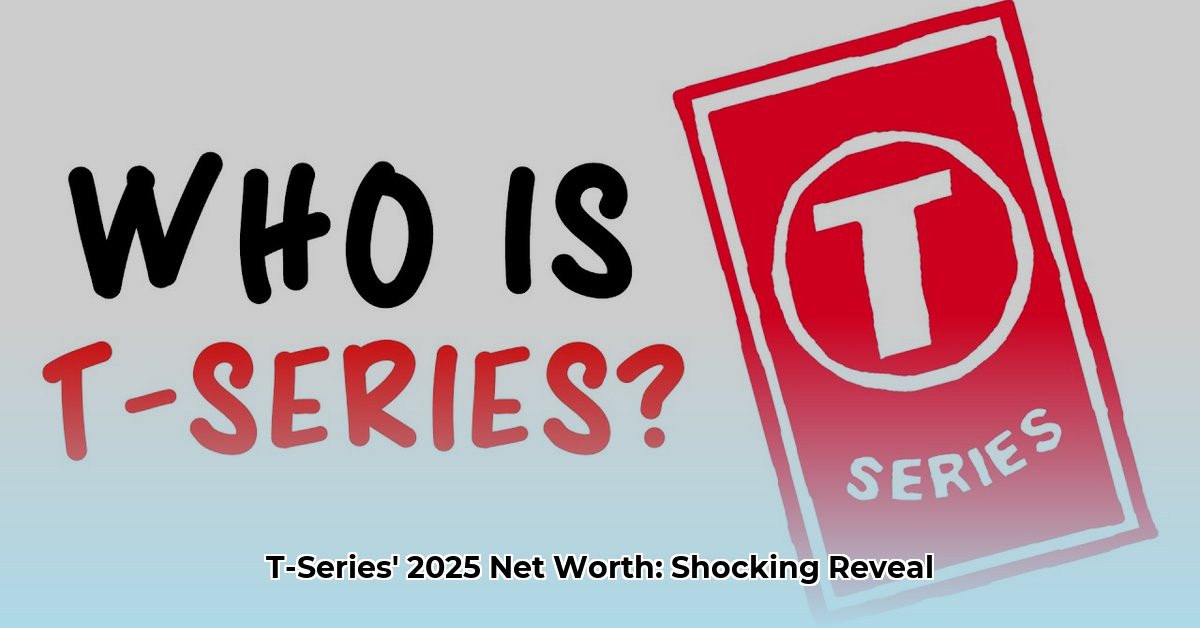 t series net worth 2024